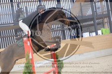 ref. photo 3517624
