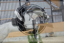 ref. photo 3517650