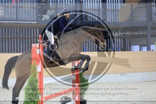 ref. photo 3517665