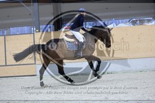 ref. photo 3517670