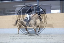 ref. photo 3517693