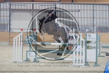 ref. photo 3517700