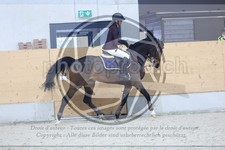 ref. photo 3517706
