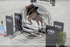 ref. photo 3517718