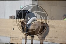ref. photo 3517720