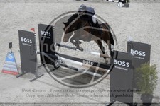 ref. photo 3517751