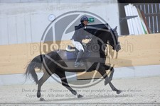 ref. photo 3517806