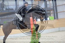ref. photo 3517808