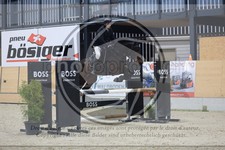 ref. photo 3517811