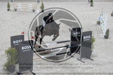 ref. photo 3517840