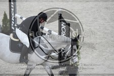 ref. photo 3517848