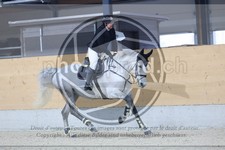 ref. photo 3517856