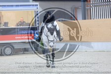 ref. photo 3517858