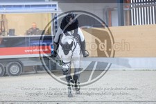 ref. photo 3517859
