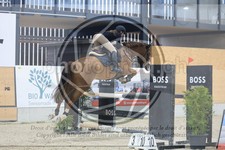ref. photo 3517881