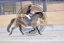 ref. photo 3517890
