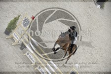 ref. photo 3517894