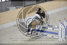 ref. photo 3517895