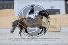 ref. photo 3517911