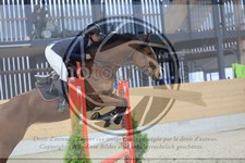 ref. photo 3517912