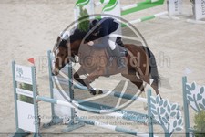 ref. photo 3517916