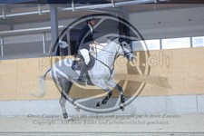 ref. photo 3517931