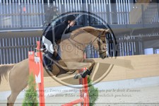 ref. photo 3517948