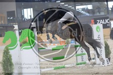 ref. photo 3517956