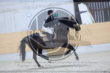 ref. photo 3517958