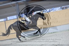 ref. photo 3517959
