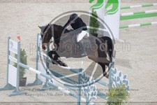 ref. photo 3517975