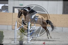 ref. photo 3517987