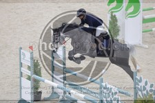 ref. photo 3518001