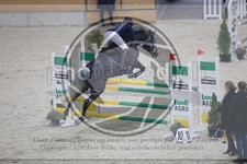 ref. photo 3518004