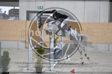 ref. photo 3518006