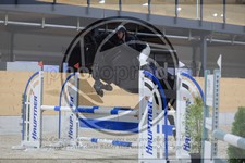 ref. photo 3518018