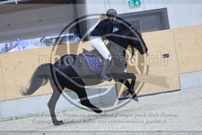 ref. photo 3518023