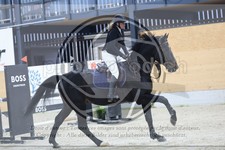 ref. photo 3518024