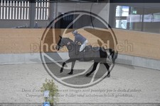 ref. photo 3518038