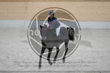 ref. photo 3518042
