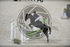 ref. photo 3518050