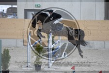 ref. photo 3518052