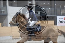 ref. photo 3518062