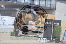 ref. photo 3518066