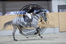 ref. photo 3518077
