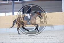 ref. photo 3518093