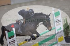 ref. photo 3047930