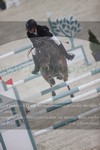 ref. photo 3048033