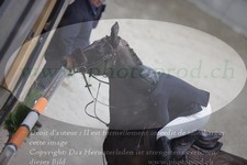 ref. photo 3048039