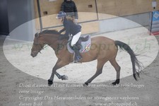 ref. photo 3048053